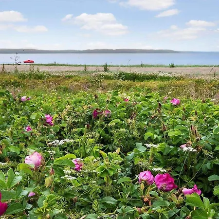 Sj259-borkop-pilealle-5 בית נופש